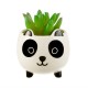 Mini pot de fleurs panda