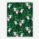Affiche medium Medinilla