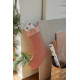 Botte de Noël - Tuscany rose