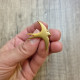 Pin's hirondelle doré