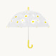 Parapluie Fleurs - Petit format