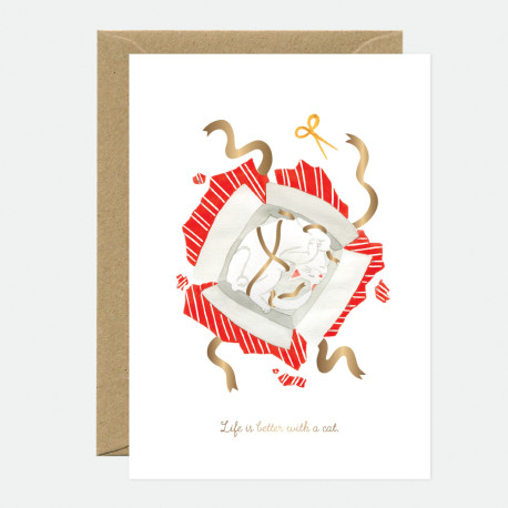 Carte Better with a cat