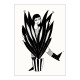 Carte Big sanseveria