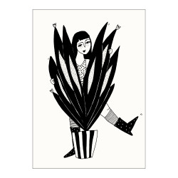 Carte Big sanseveria