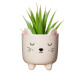 Mini pot chat sur pieds