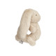 Hochet Romain - Lapin mist