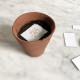 Carte à planter balade