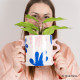 Pot Luca - Jaunty Jungle