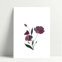 Carte Violetta