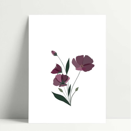 Carte Violetta