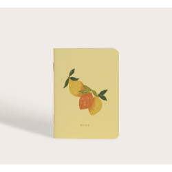 Carnet de poche Limonata