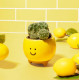 Pot pour mini plante Happy