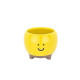 Pot pour mini plante Happy