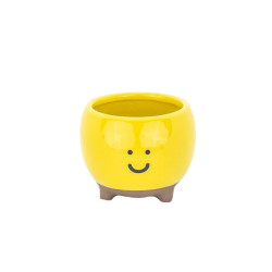 Pot pour mini plante Happy
